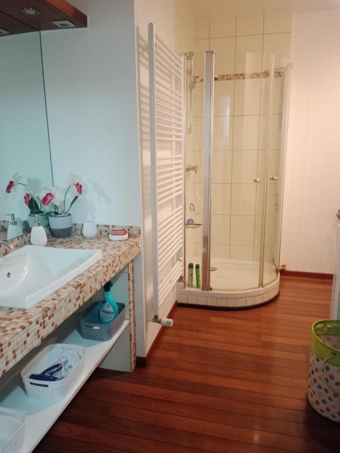 Au Repit Centre Thermes Luxeuil T3 エクステリア 写真
